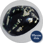 8407-P16 - Polished Black Abalone  11cm